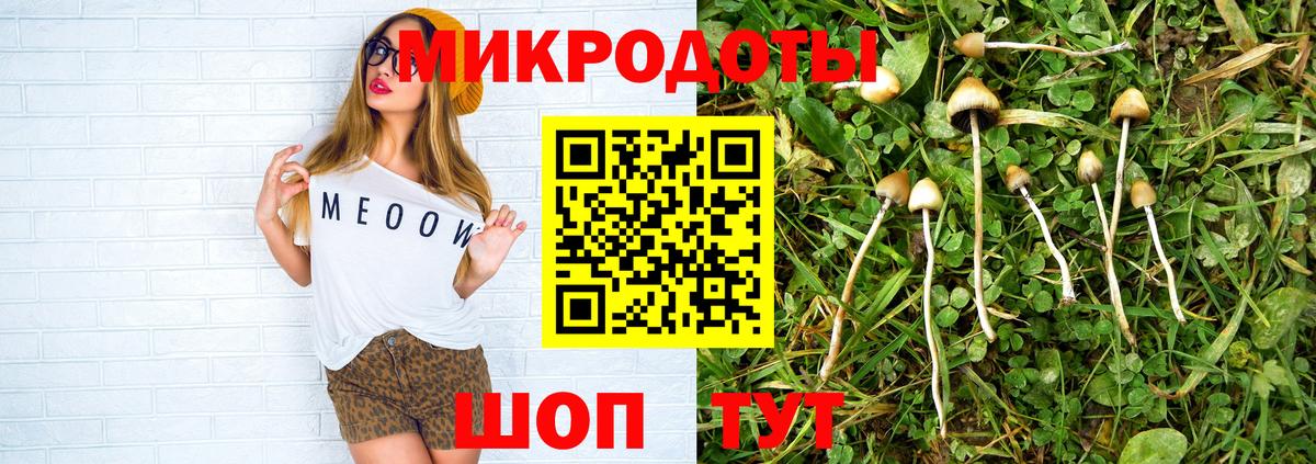 продажа наркотиков  Вход с VPN  Псилоцибиновые грибы мицелий  Советск  Галлюциногенные грибы GOLDEN TEACHER 